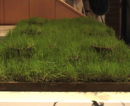 Sürdürülebilir Arayışın Kıyısında